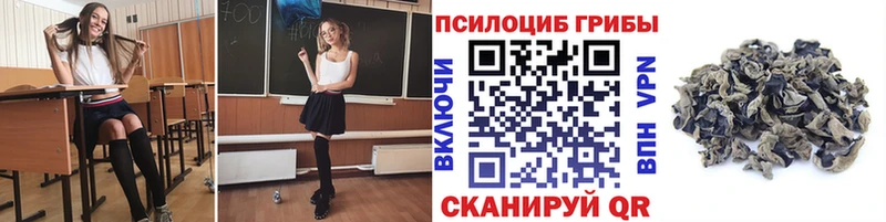 Псилоцибиновые грибы прущие грибы  цены   Щигры 